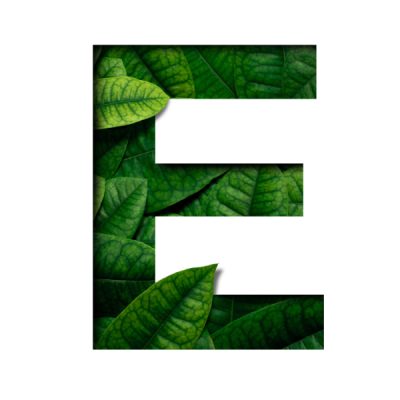 leafs-font-e-made-real-alive-leafs-with-precious-paper-cut-shape-font-leafs-font