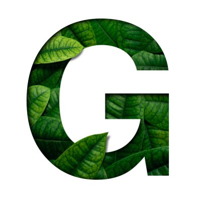 leafs-font-g-made-real-alive-leafs-with-precious-paper-cut-shape-font-leafs-font