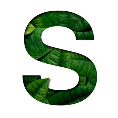 leafs-font-s-made-real-alive-leafs-with-precious-paper-cut-shape-font-leafs-font